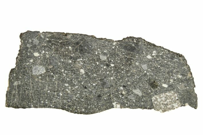 Lunar Meteorite Slice (g) - NWA #263334